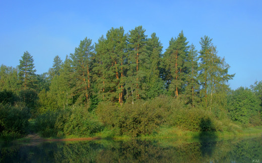 656641 (a): :1920x1200